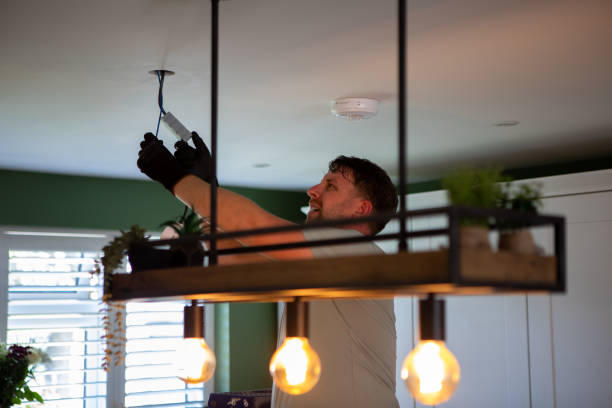 Best Electrical Repair Services  in Vamo, FL