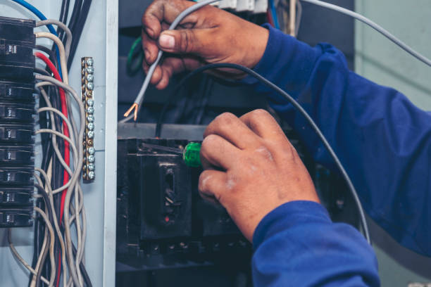 Best Affordable Electrician  in Vamo, FL