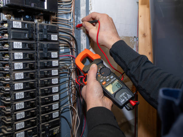 Best Generator Installation Services  in Vamo, FL